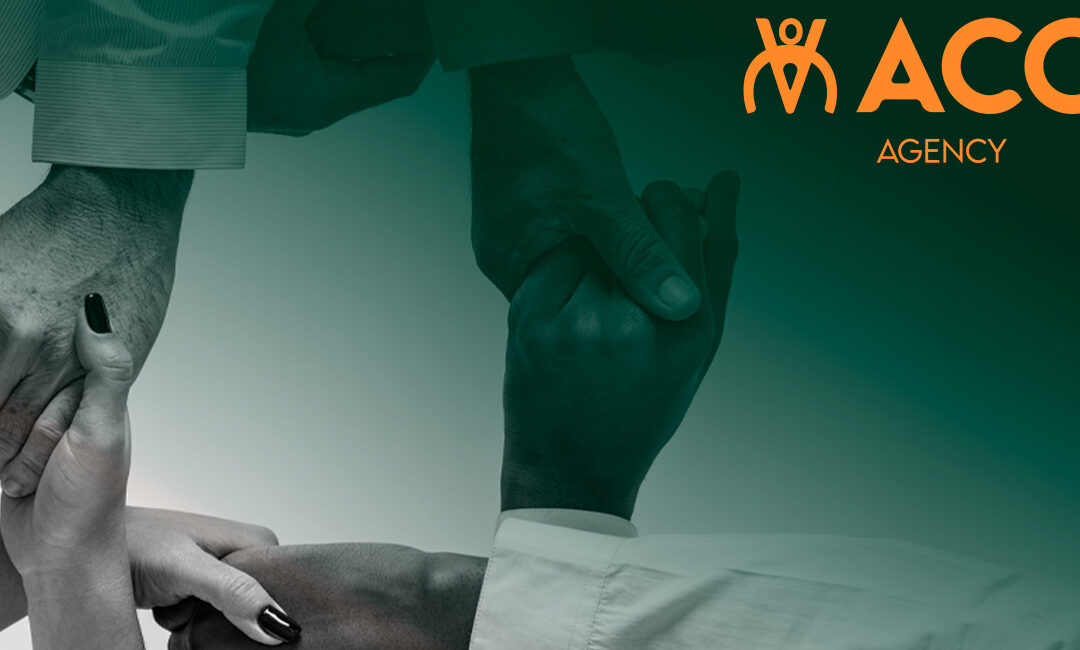 ¿Proveedor o Socio Digital? Claves para Elegir la Agencia Correcta